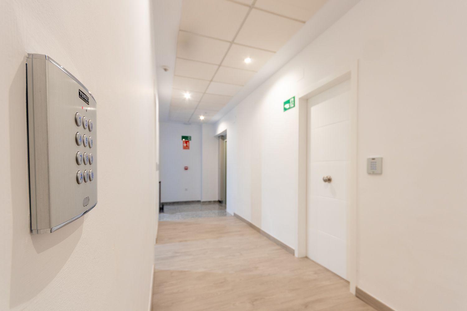 Apartamentos Basilica Santa Eulalia Parking Gratis 메리다 외부 사진